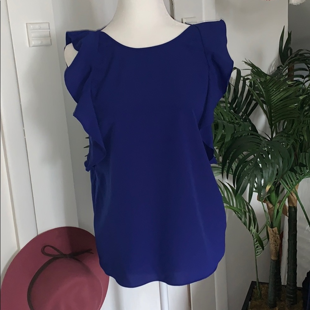 Juicy contour royal blue top